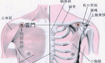 云门穴的功效与作用