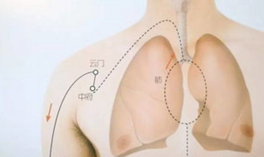 云门穴主治疾病