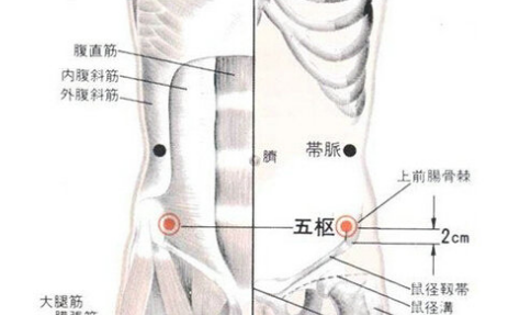 五枢穴主治疾病