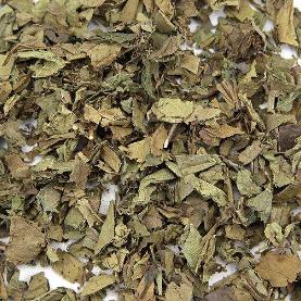 紫珠叶的正确区分方法及紫珠叶药方应用！